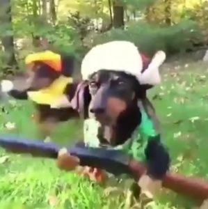 Meet your Posher, Aldo